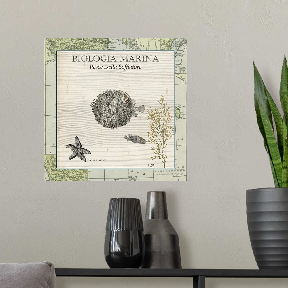 A modern room featuring Biologia Marina II