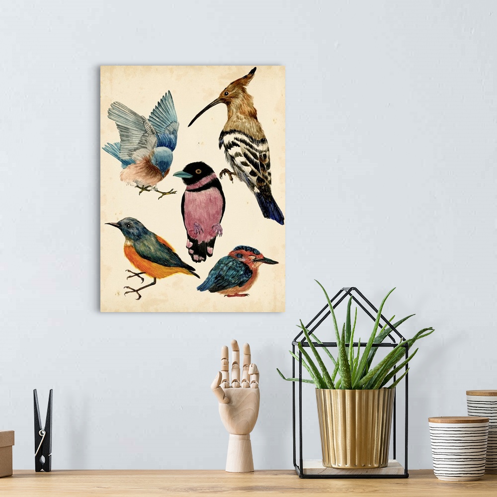 A bohemian room featuring Bird Collection I