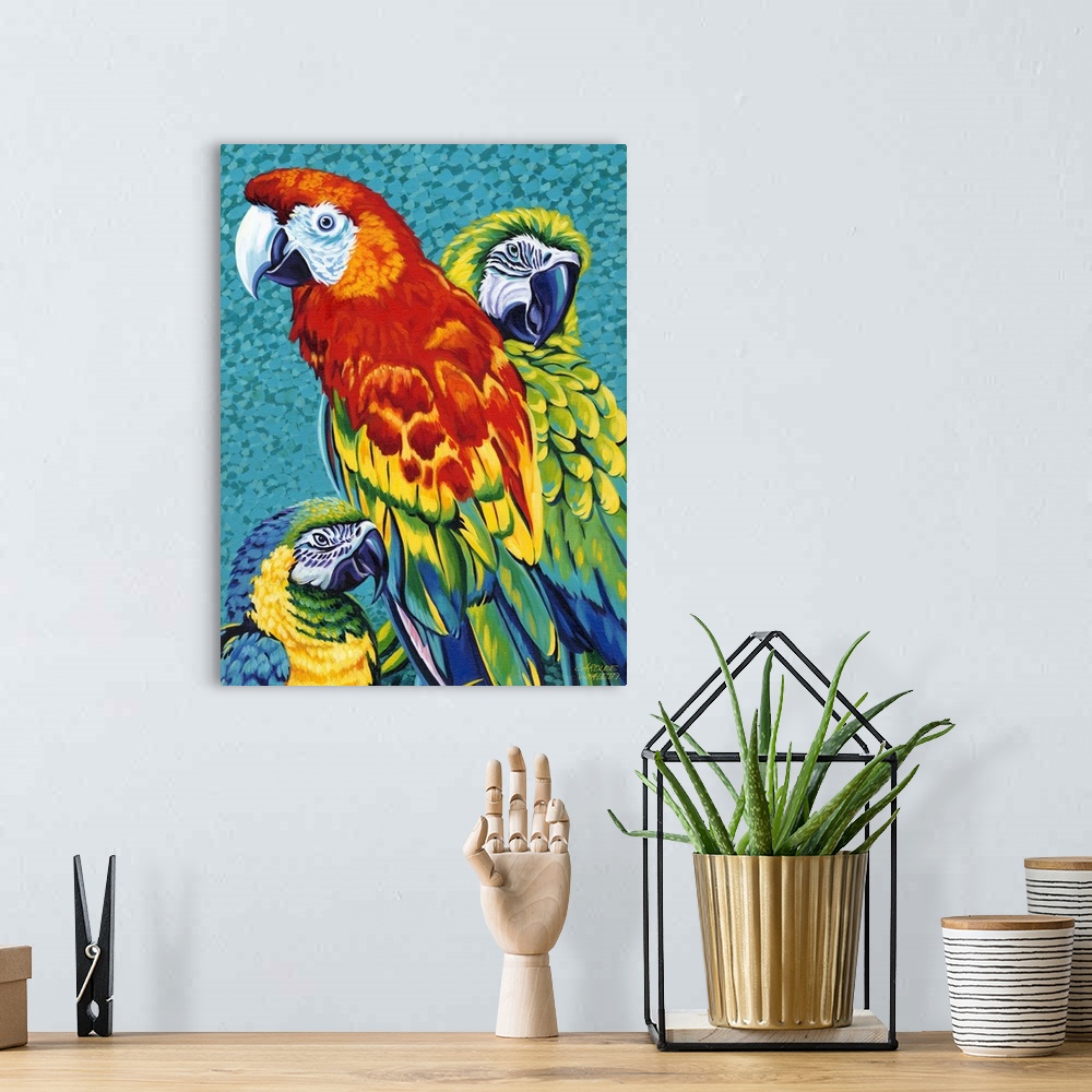 A bohemian room featuring Painting of three colorful macaw parrots, including a Scarlet, Blue and Gold, and Catalina Macaw.