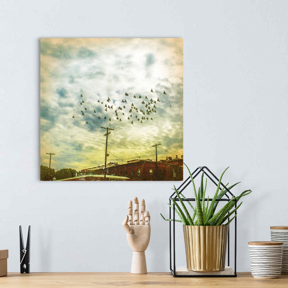 A bohemian room featuring Birds on Wires V