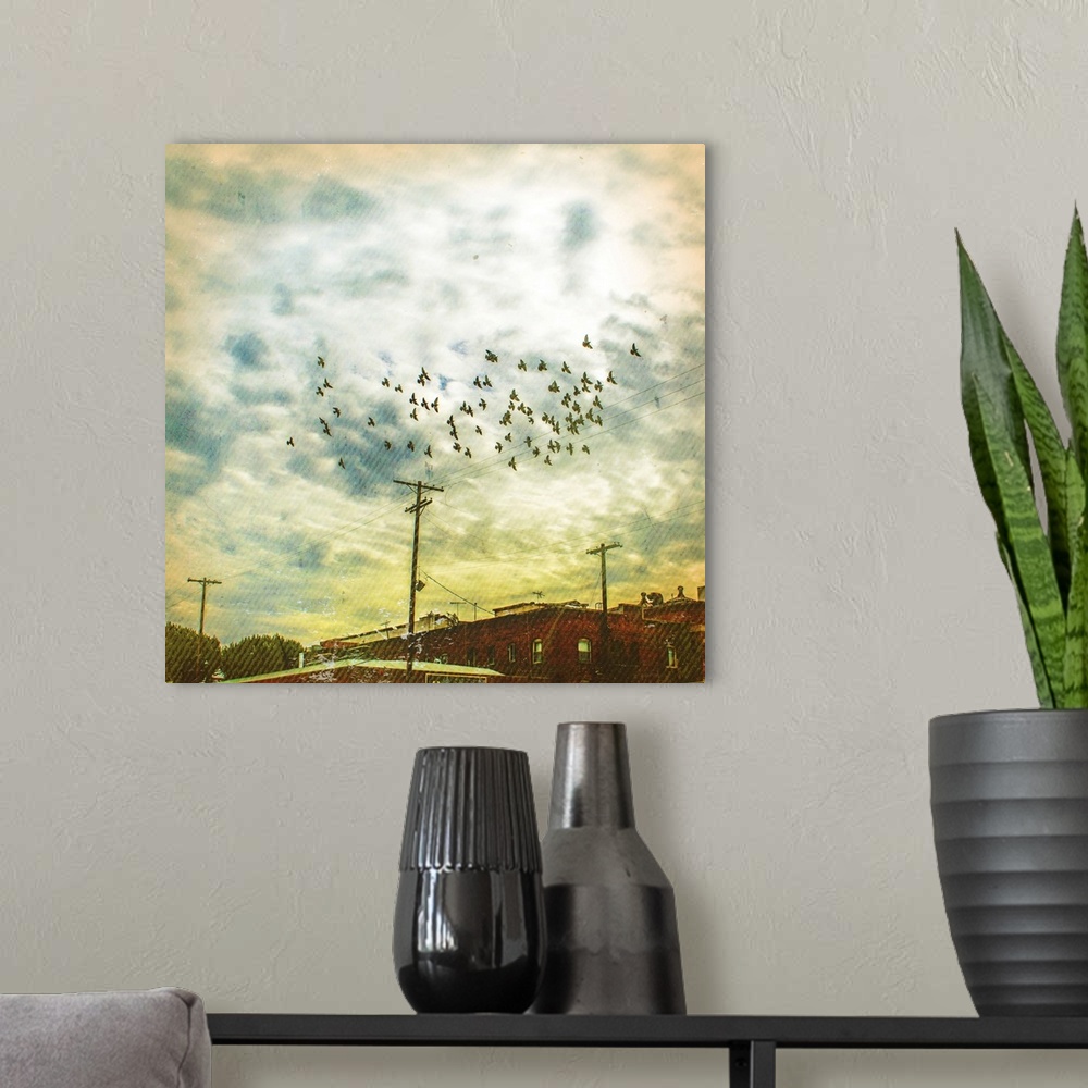 A modern room featuring Birds on Wires V