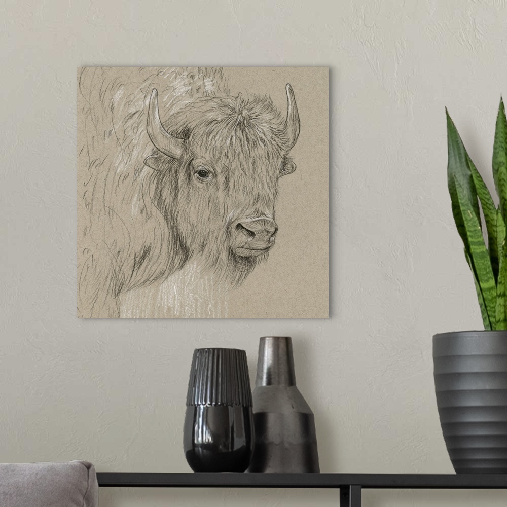 A modern room featuring Black and white sketch of a bison on a neutral background.