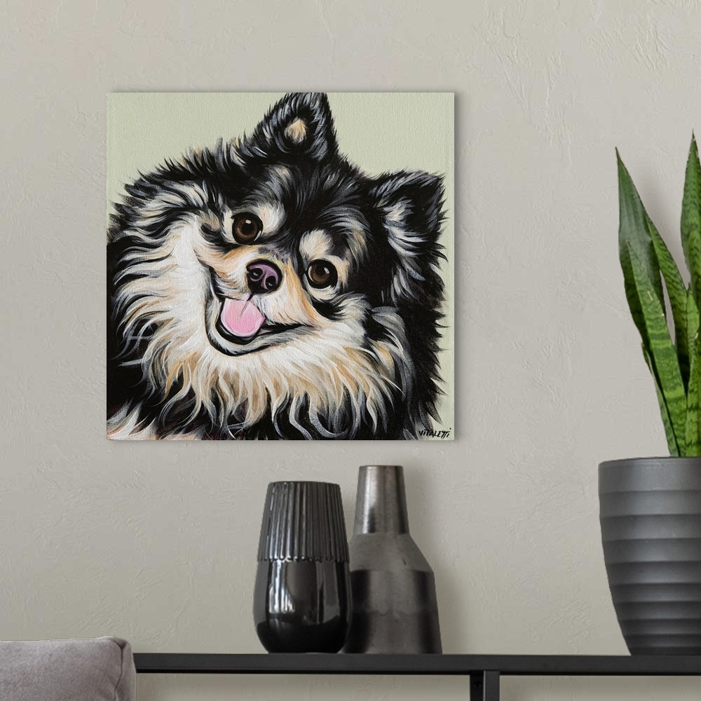 A modern room featuring Black And Tan Pomeranian