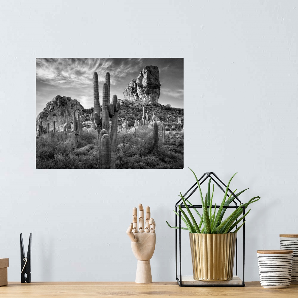 A bohemian room featuring Black and White Desert View I