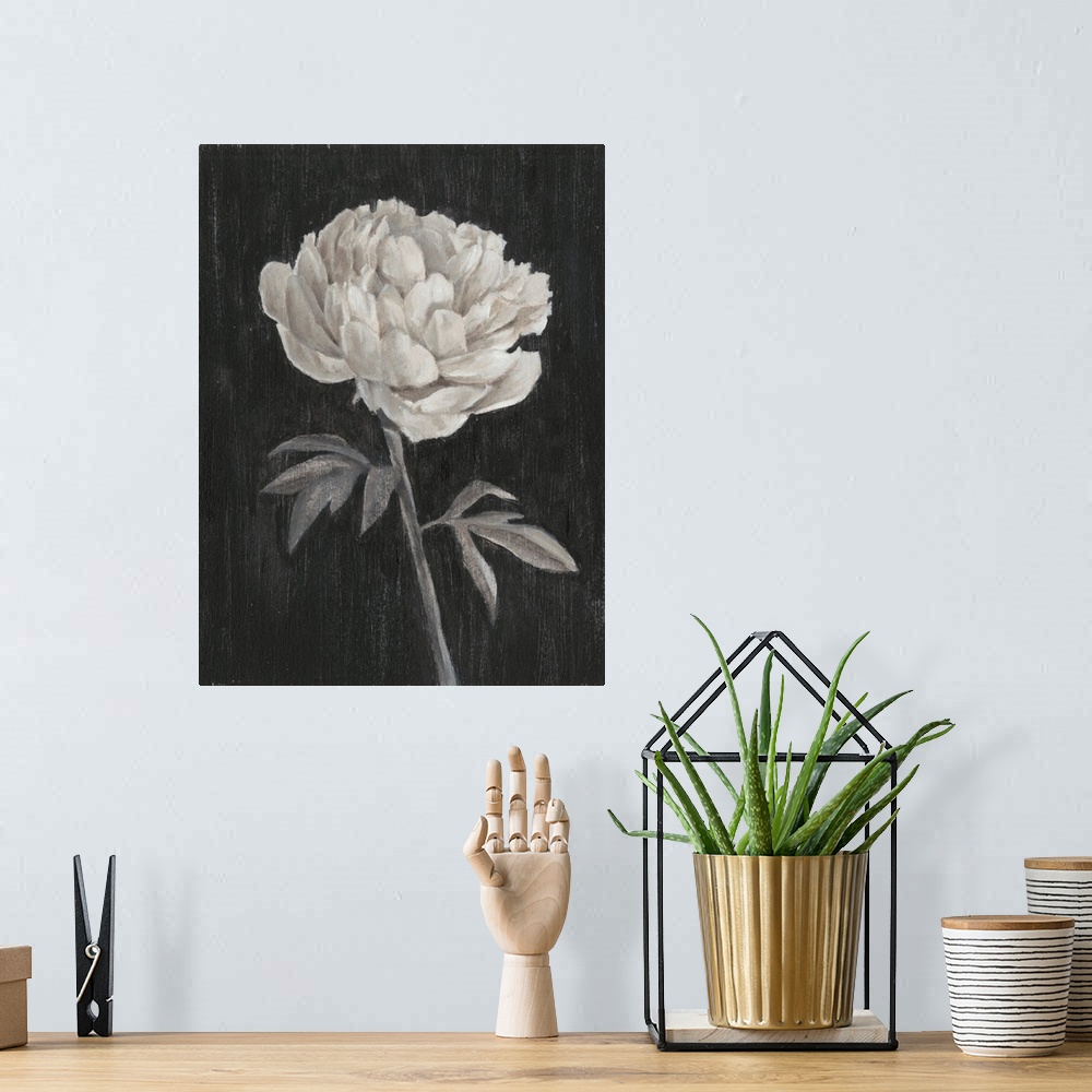 A bohemian room featuring Black and White Flowers I