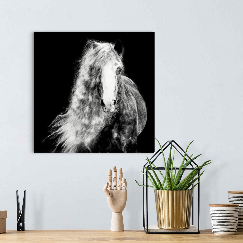 A bohemian room featuring Black And White Horse Portrait I