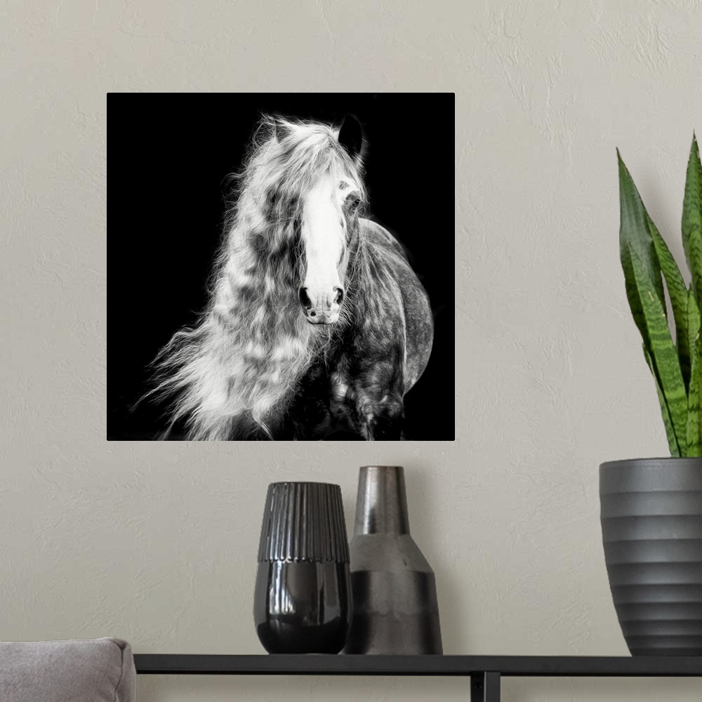 A modern room featuring Black And White Horse Portrait I