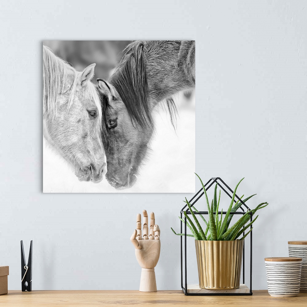 A bohemian room featuring Black and white photo of two horses nuzzling.