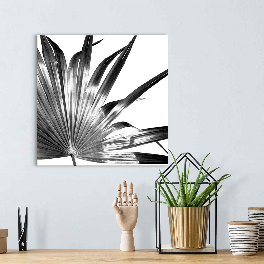 A bohemian room featuring Black and White Palm I