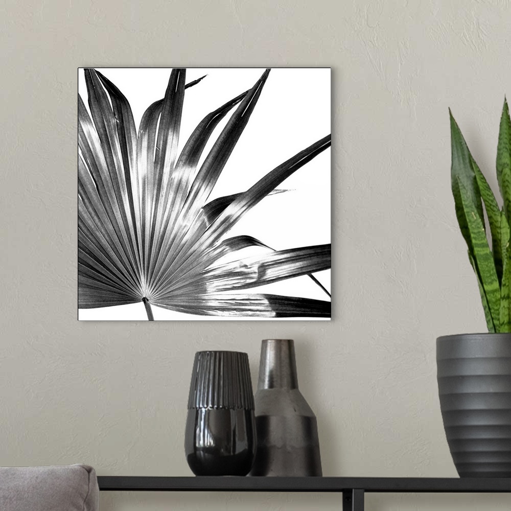 A modern room featuring Black and White Palm I