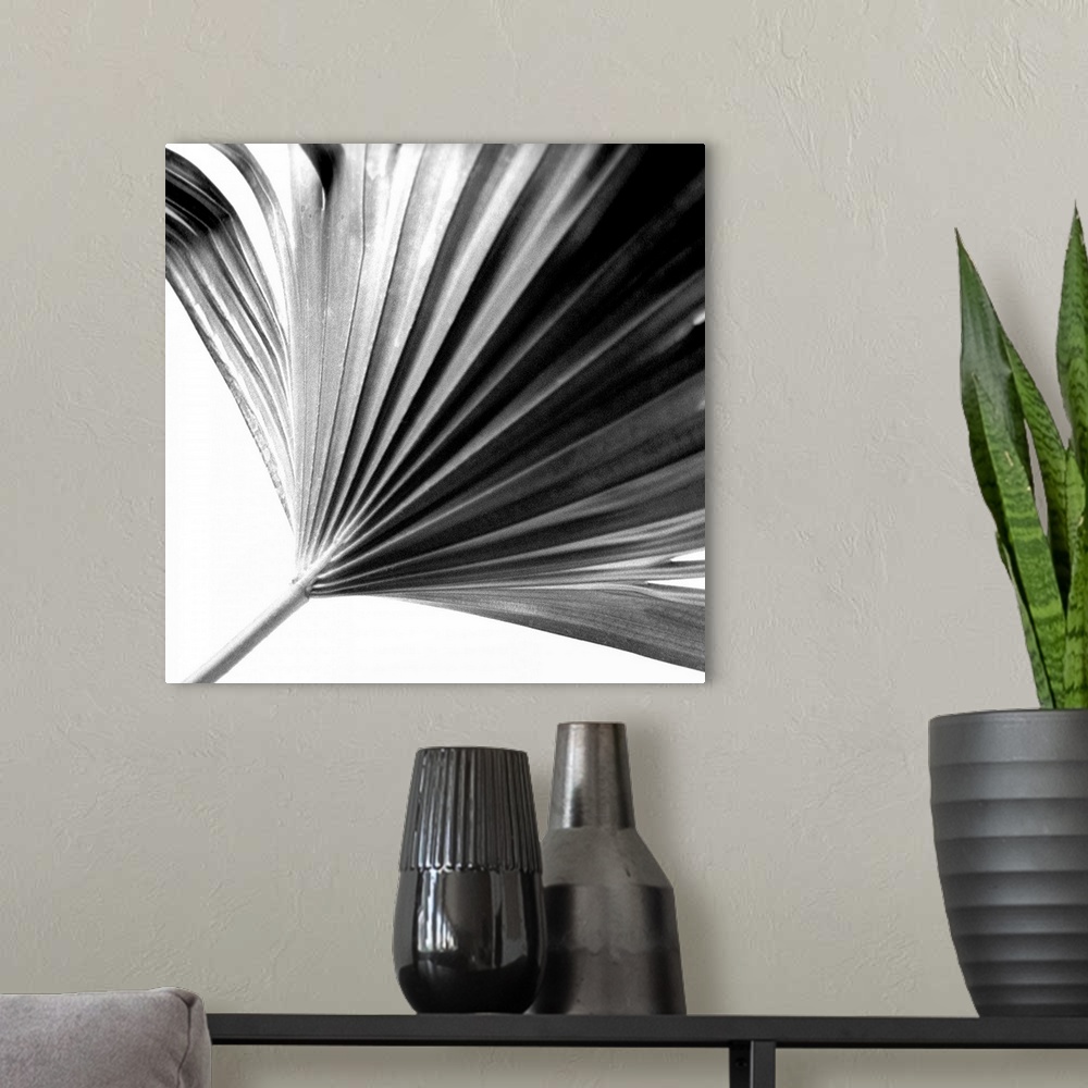 A modern room featuring Black and White Palm II
