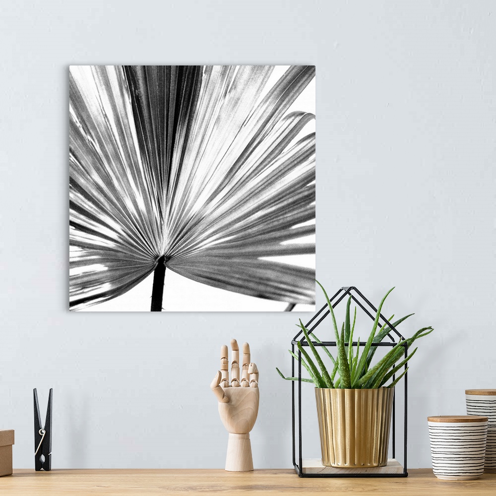 A bohemian room featuring Black and White Palm III