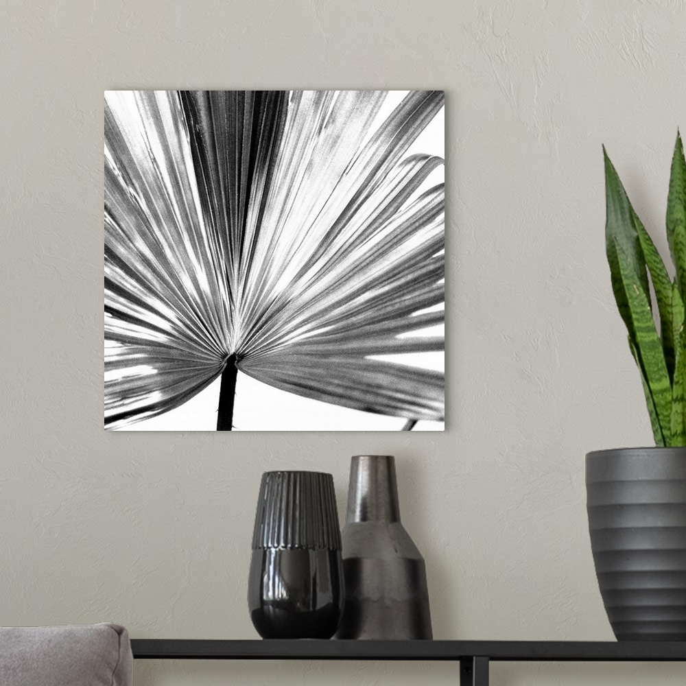 A modern room featuring Black and White Palm III