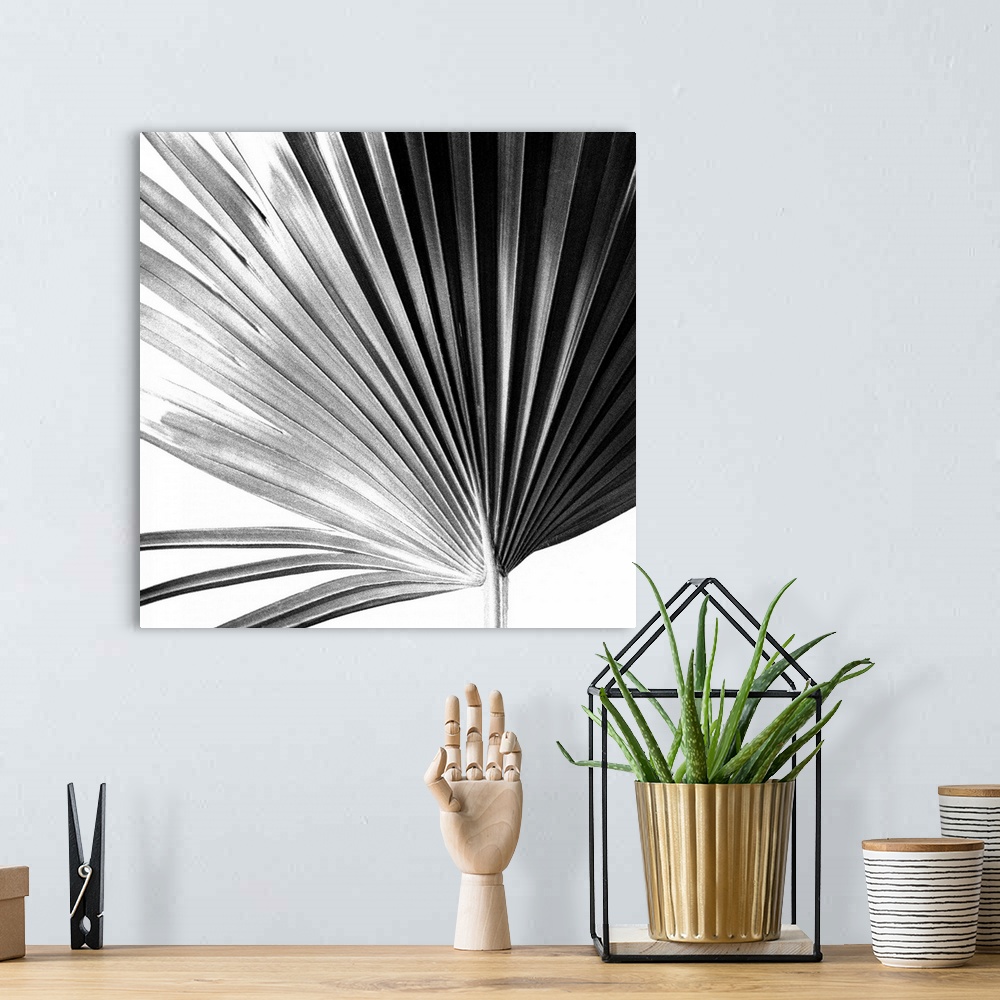 A bohemian room featuring Black and White Palm IV