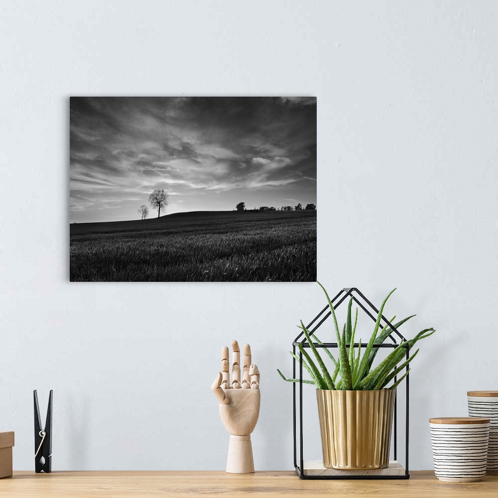 A bohemian room featuring A black and white photograph of a near empty field under a cloudy sky.
