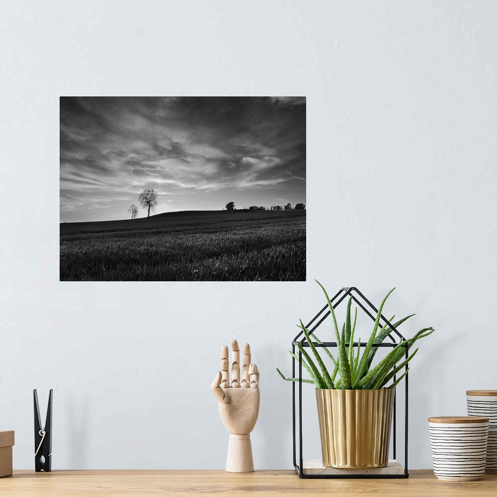 A bohemian room featuring A black and white photograph of a near empty field under a cloudy sky.