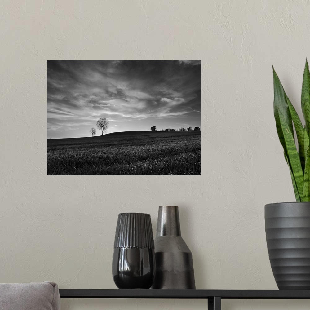 A modern room featuring A black and white photograph of a near empty field under a cloudy sky.