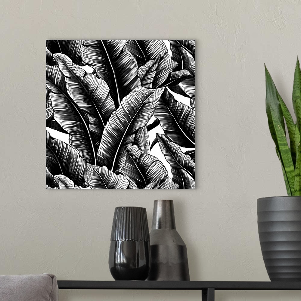 A modern room featuring Black Banana Leaves
