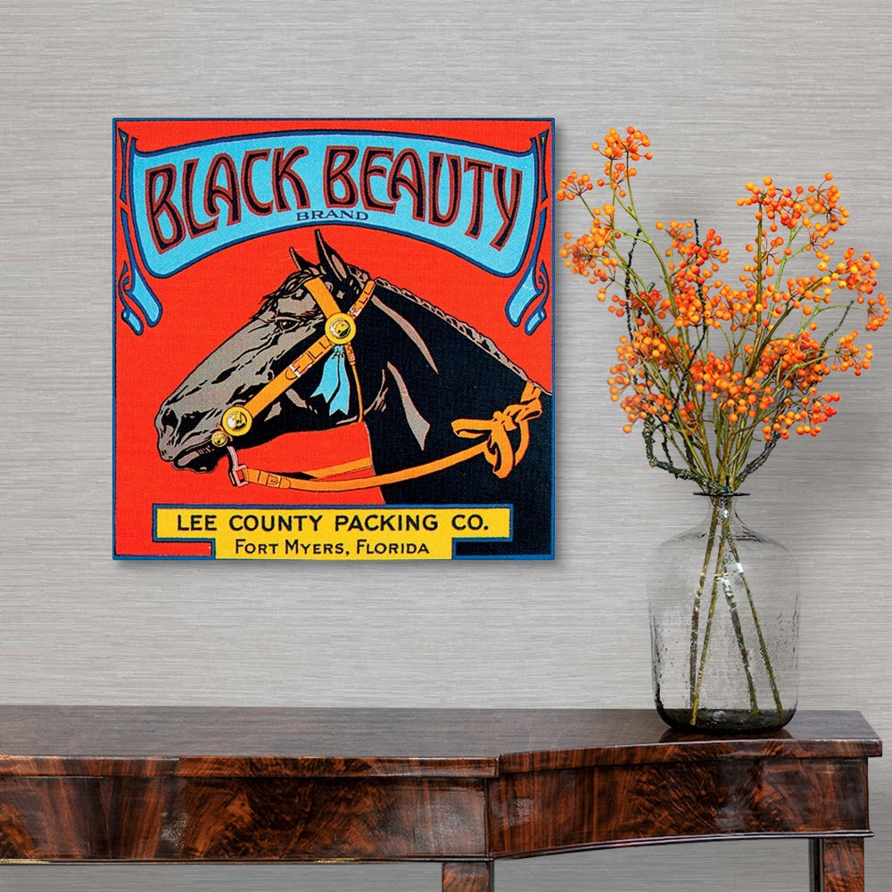 A traditional room featuring Black Beauty