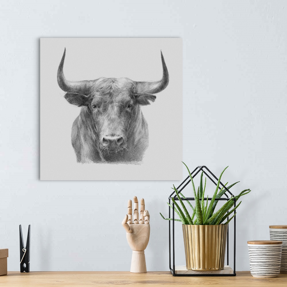 A bohemian room featuring A gray pencil sketch of a black bull.