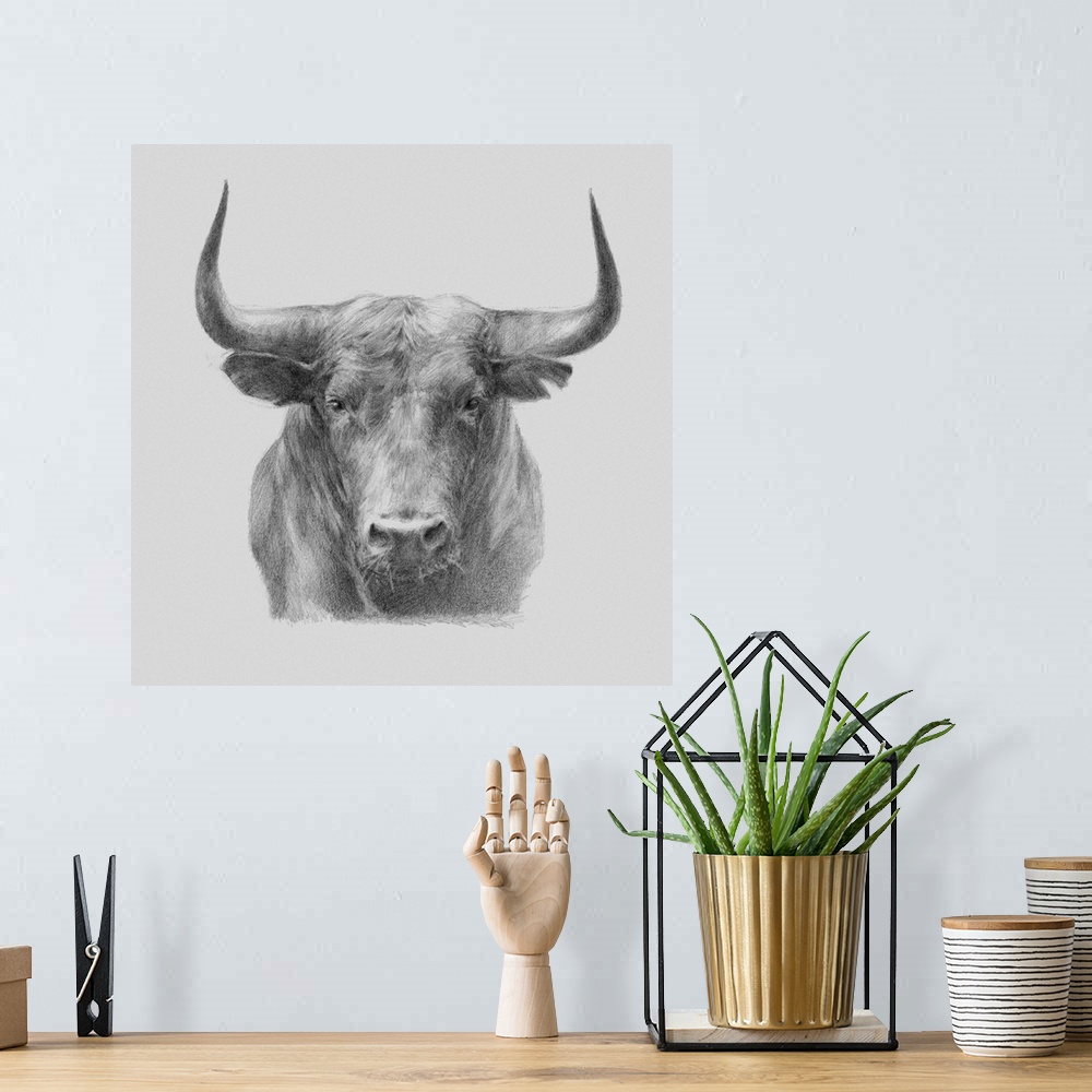 A bohemian room featuring A gray pencil sketch of a black bull.