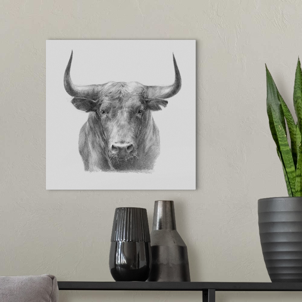 A modern room featuring A gray pencil sketch of a black bull.