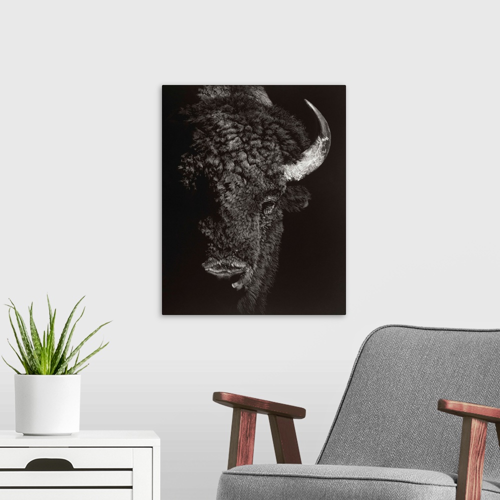 A modern room featuring Black and white lifelike illustration of a buffalo.