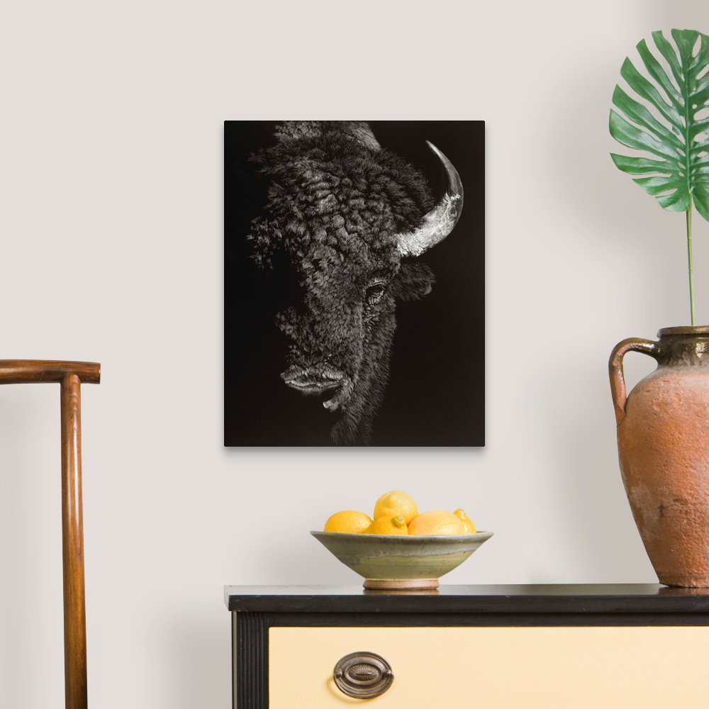 A traditional room featuring Black and white lifelike illustration of a buffalo.