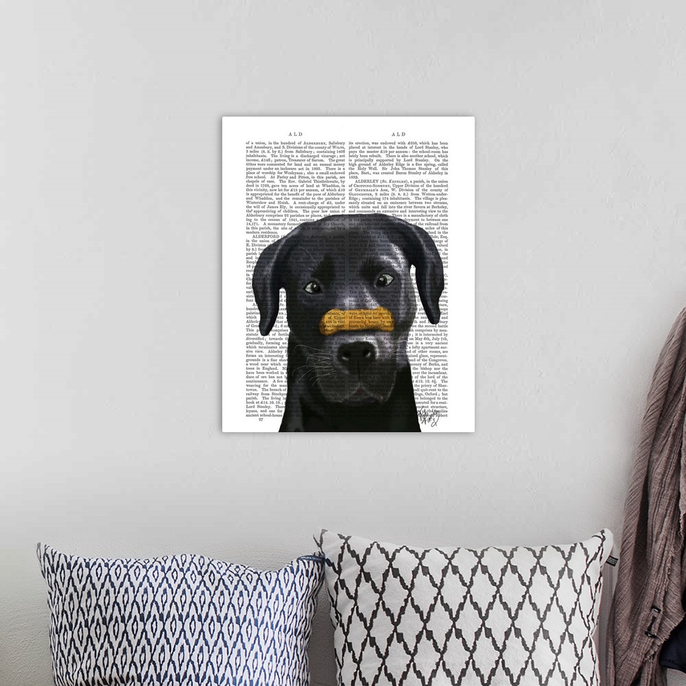 A bohemian room featuring Black Labrador With Bone on Nose