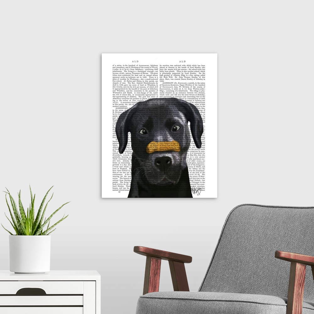 A modern room featuring Black Labrador With Bone on Nose