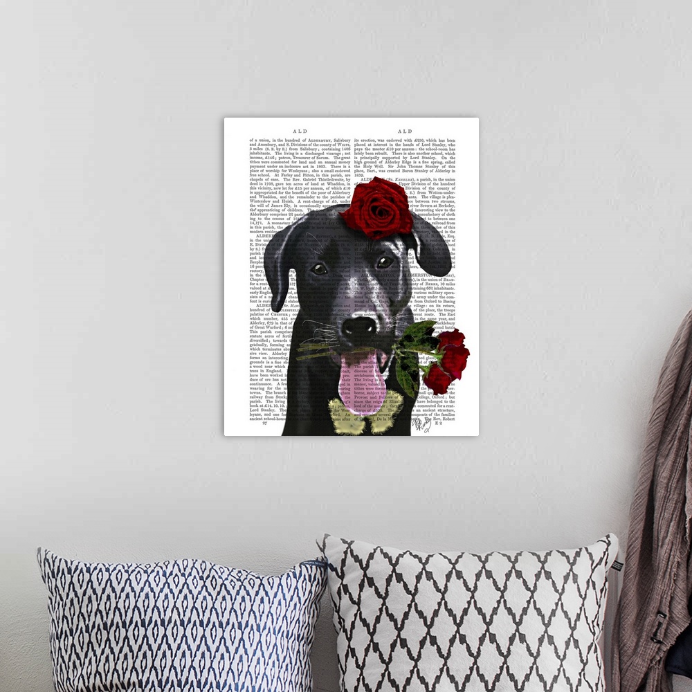 A bohemian room featuring Black Labrador with Roses