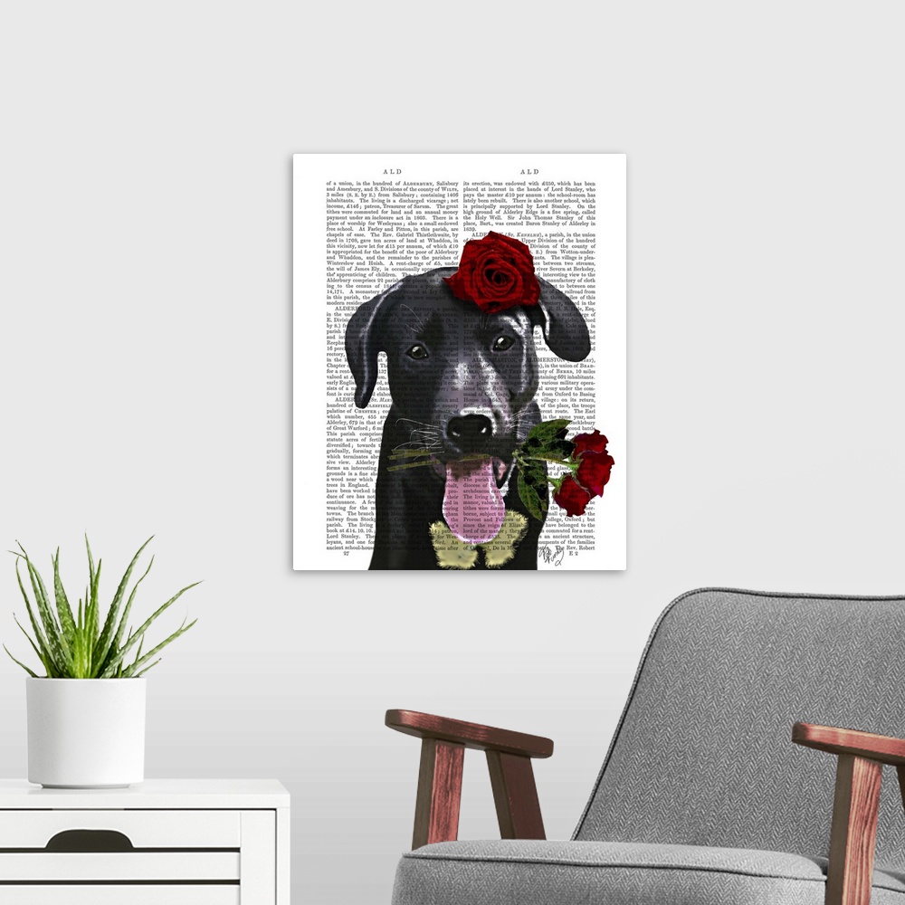 A modern room featuring Black Labrador with Roses
