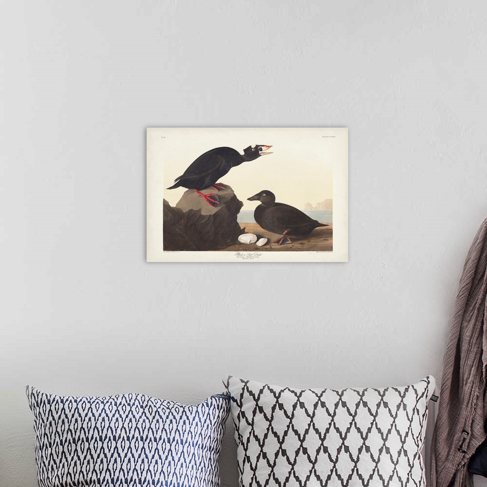 A bohemian room featuring Black Or Surf Duck
