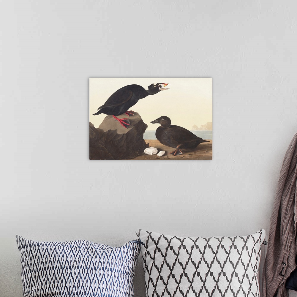 A bohemian room featuring Black Or Surf Duck