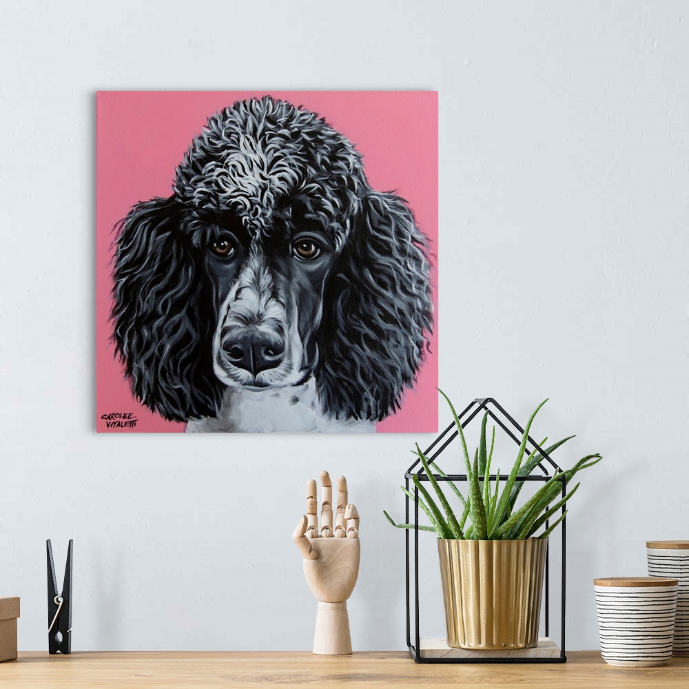 A bohemian room featuring Black Poodle