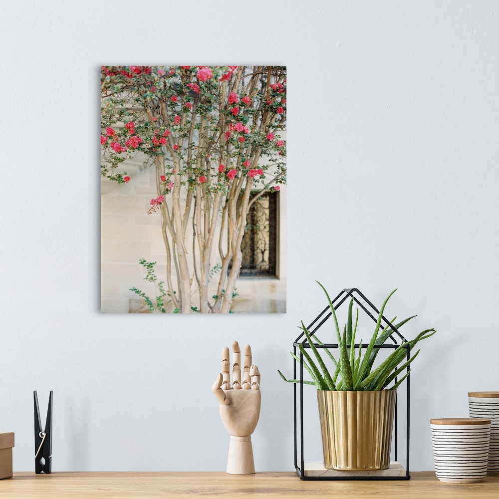 A bohemian room featuring Photograph of a slender branched tree with dark pink blossoms in from of a stone building.