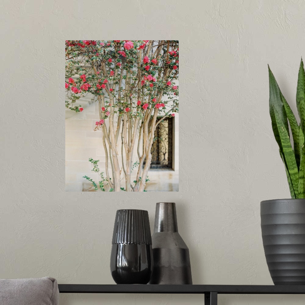 A modern room featuring Photograph of a slender branched tree with dark pink blossoms in from of a stone building.