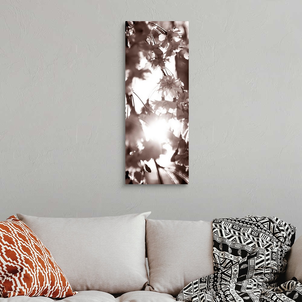 A bohemian room featuring Blossom Triptych I