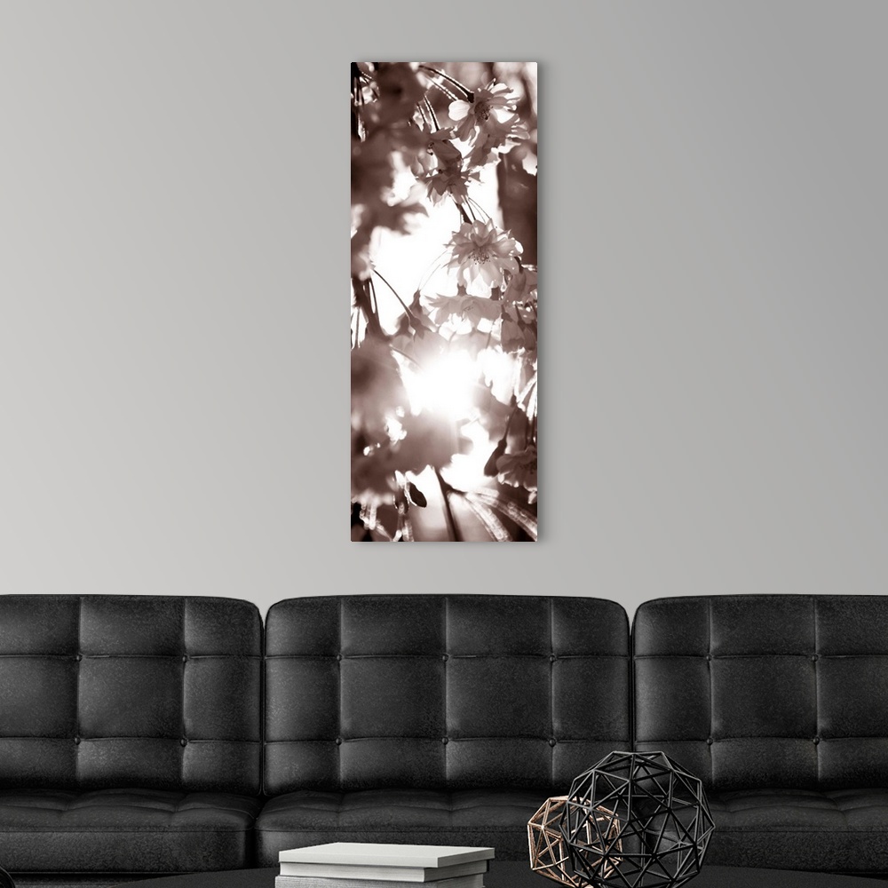 A modern room featuring Blossom Triptych I