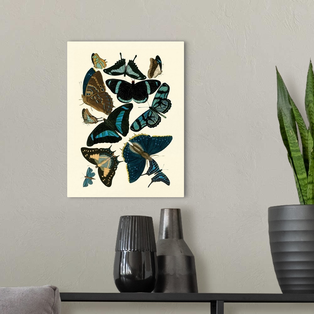 A modern room featuring Blue Butterfly Study