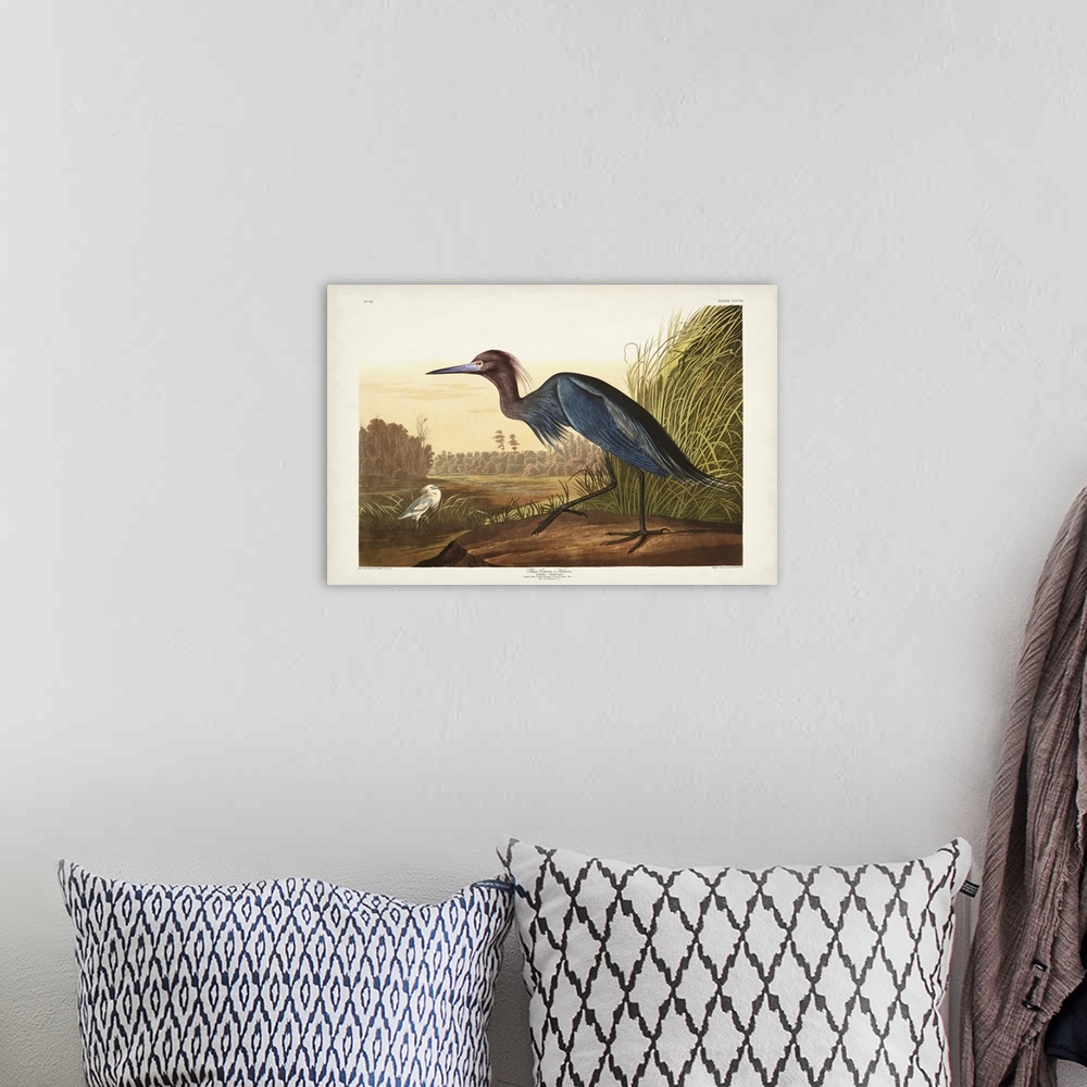 A bohemian room featuring Blue Crane Or Heron