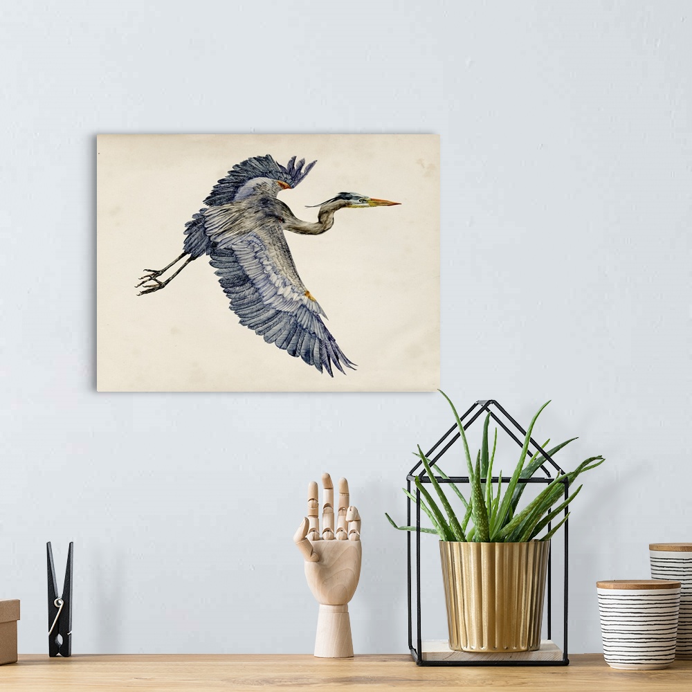 A bohemian room featuring Illustration of a Great Blue Heron in flight on a parchment background.