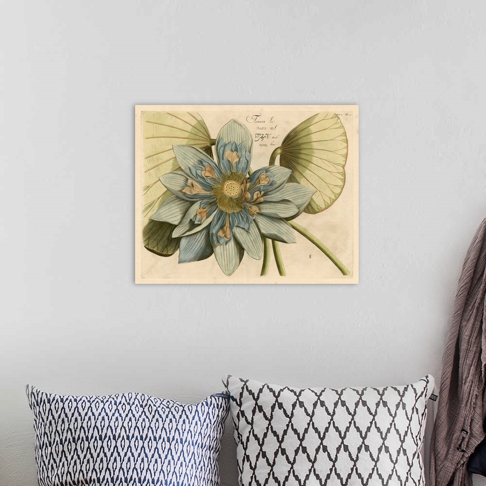 A bohemian room featuring Blue Lotus Flower I