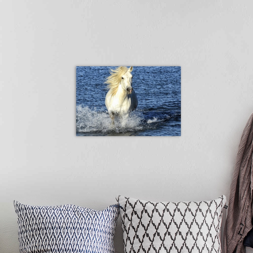 A bohemian room featuring Fine art photo of a white horse galloping in the sea.