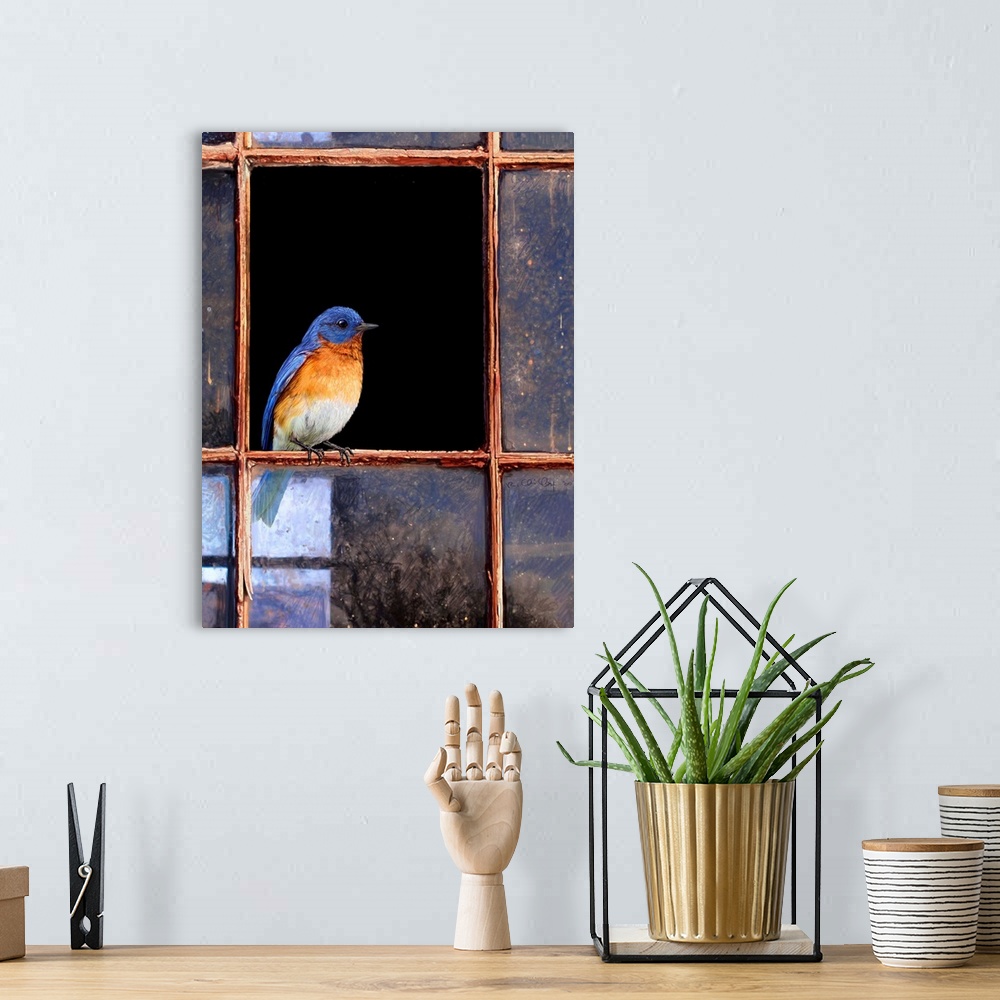 A bohemian room featuring Bluebird Window
