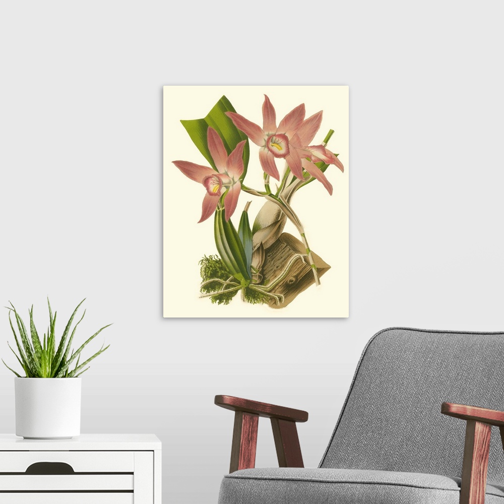 A modern room featuring Blushing Orchids I