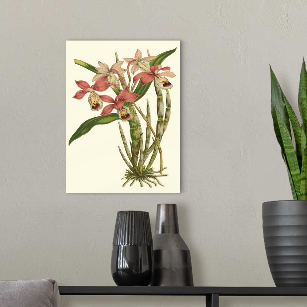 A modern room featuring Blushing Orchids II