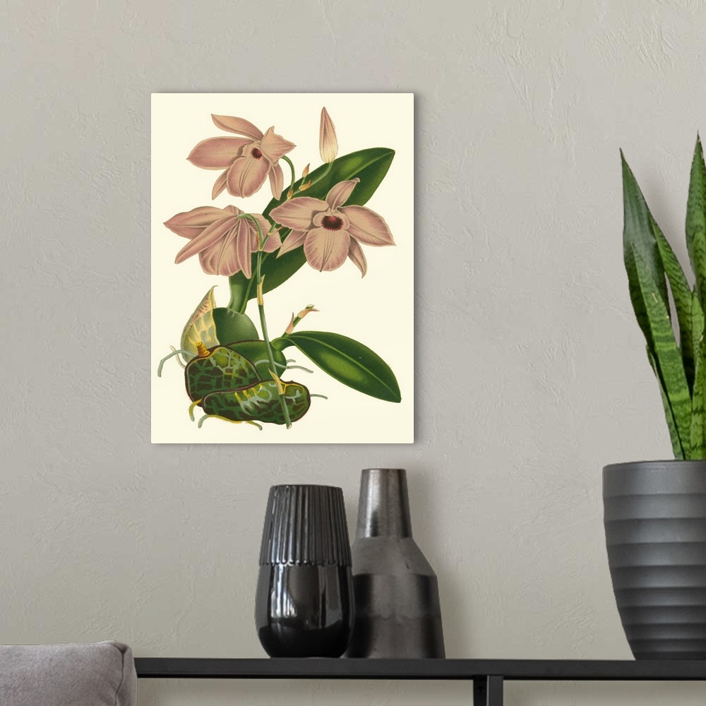 A modern room featuring Blushing Orchids III