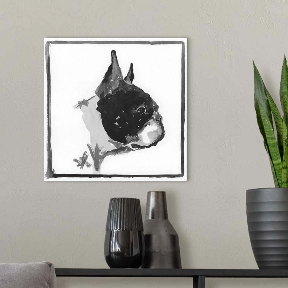 A modern room featuring Boston Terrier