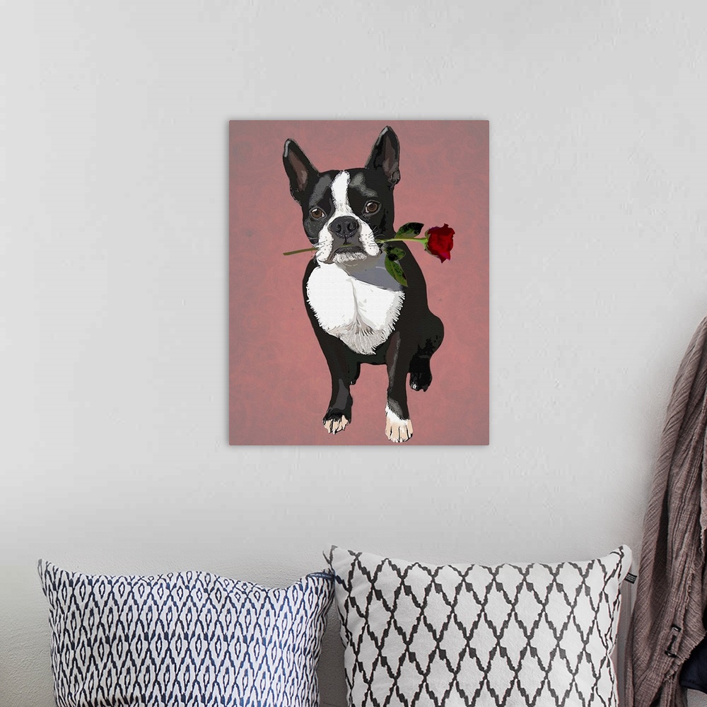 A bohemian room featuring Illustration of a Boston Terrier dog holding a rose in its mouth.